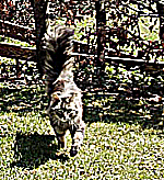 IMG_20190613_130437