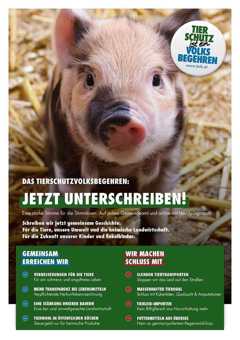 TSVB-Plakat_EU Diskussion